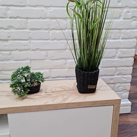 Limoni Luxury Apartment *